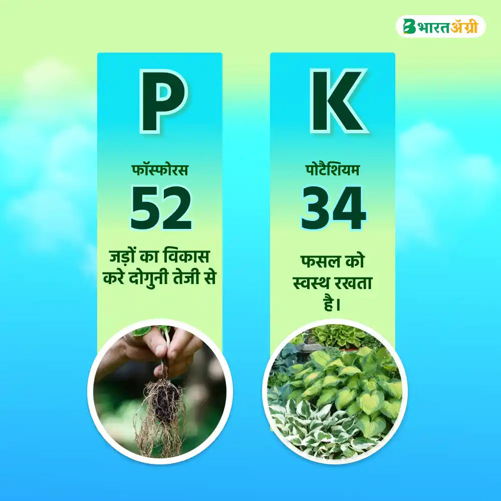 IFC NPK 00:52:34 Water Soluble Fertilizer (1+1 Combo)