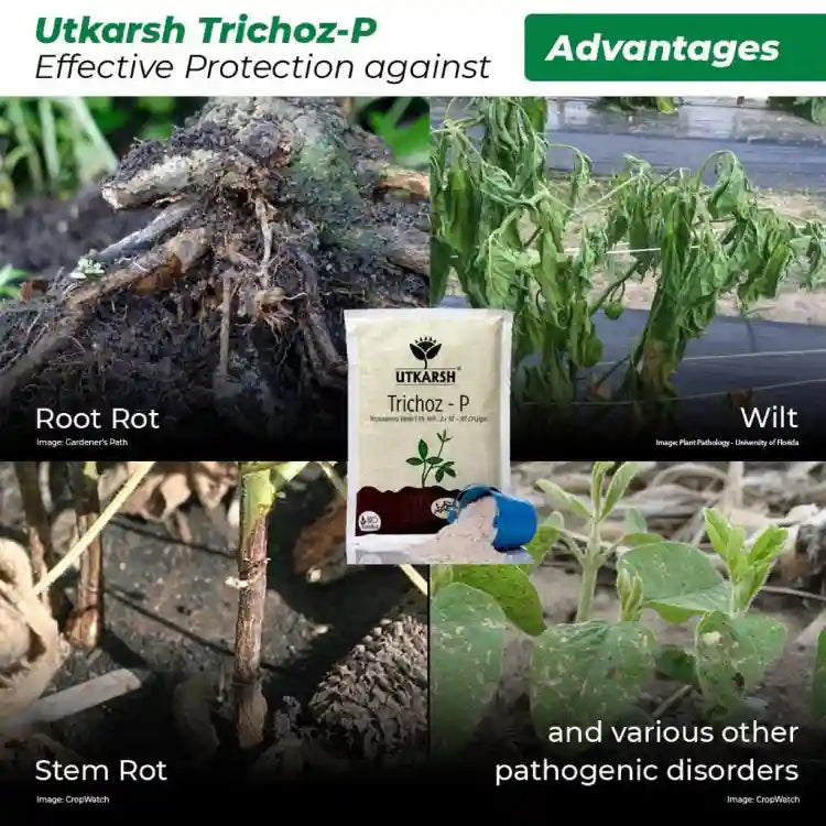 Utkarsh Trichoz-P (Trichoderma Viride 1.5% WP) Bio Fungicide