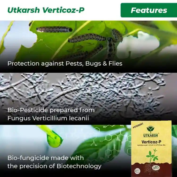 Utkarsh Verticoz-P (Verticillium Lecanii 1.15% WP) Bio Insecticide
