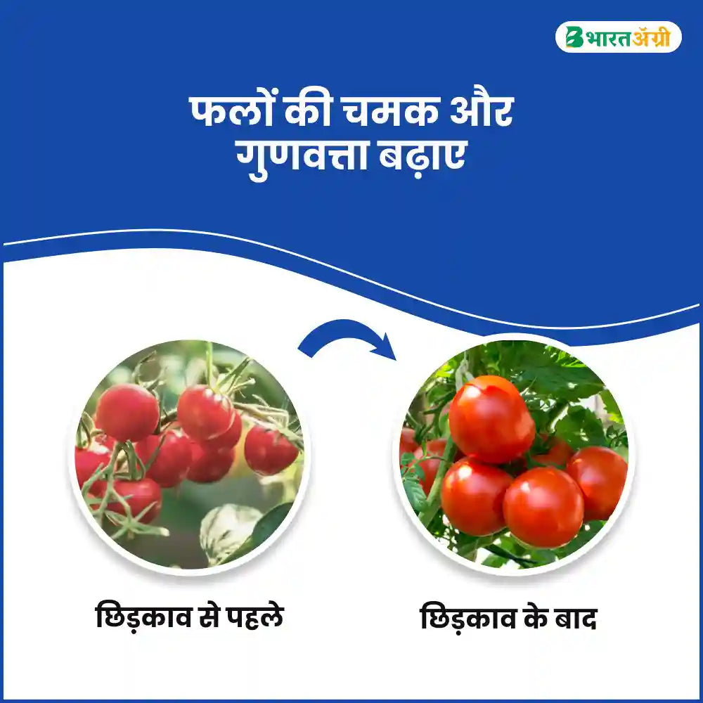 IFC Dr. Plant Gibb Quick (Gibberellic Acid 40%) Plant Growth Promoter