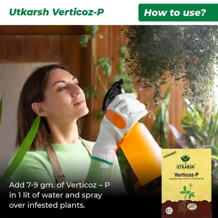 Utkarsh Verticoz-P (Verticillium Lecanii 1.15% WP) Bio Insecticide