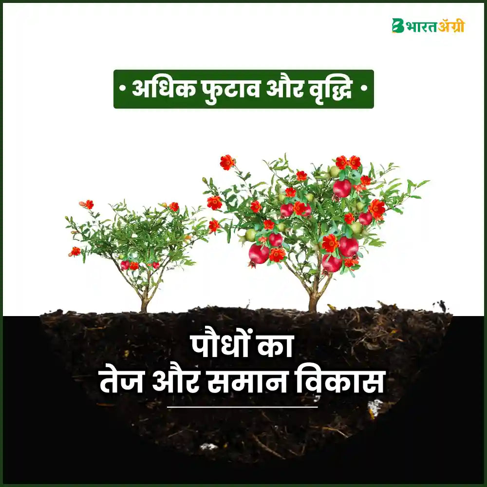 IFC Groww Gibb (Gibberellic Acid 0.001%) Plant Growth Promoter