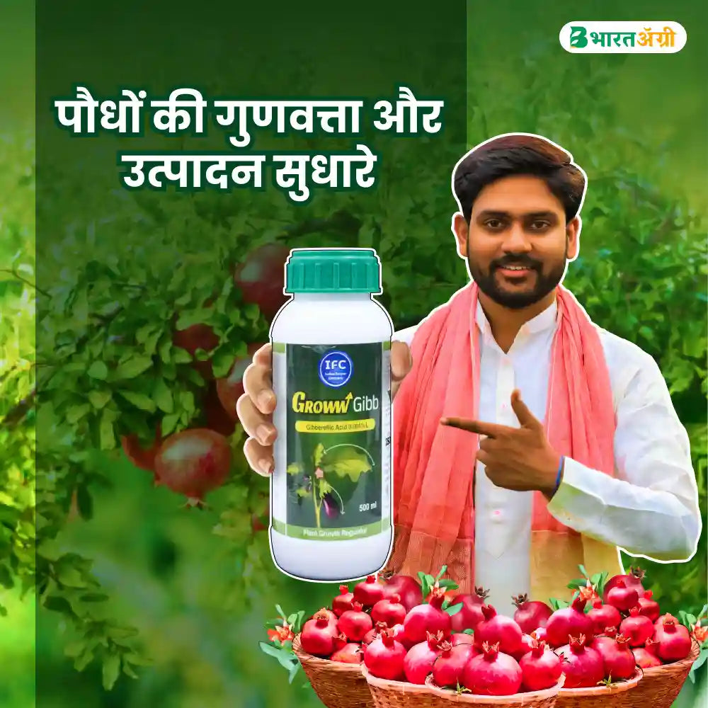 IFC Groww Gibb (Gibberellic Acid 0.001%) Plant Growth Promoter
