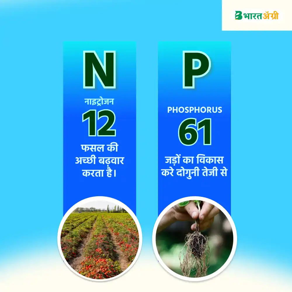 IFC NPK 12:61:00 Water Soluble Fertilizer (1+1 Combo)