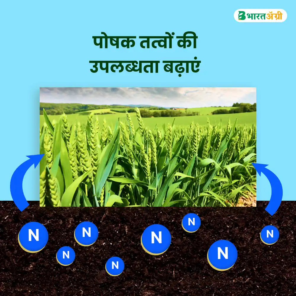IFC NPK 12:61:00 Water Soluble Fertilizer