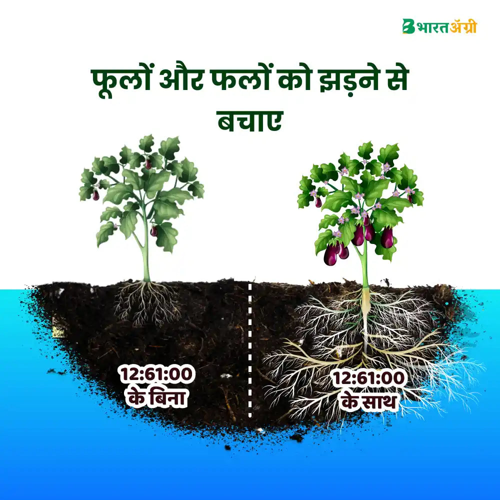 IFC NPK 12:61:00 Water Soluble Fertilizer