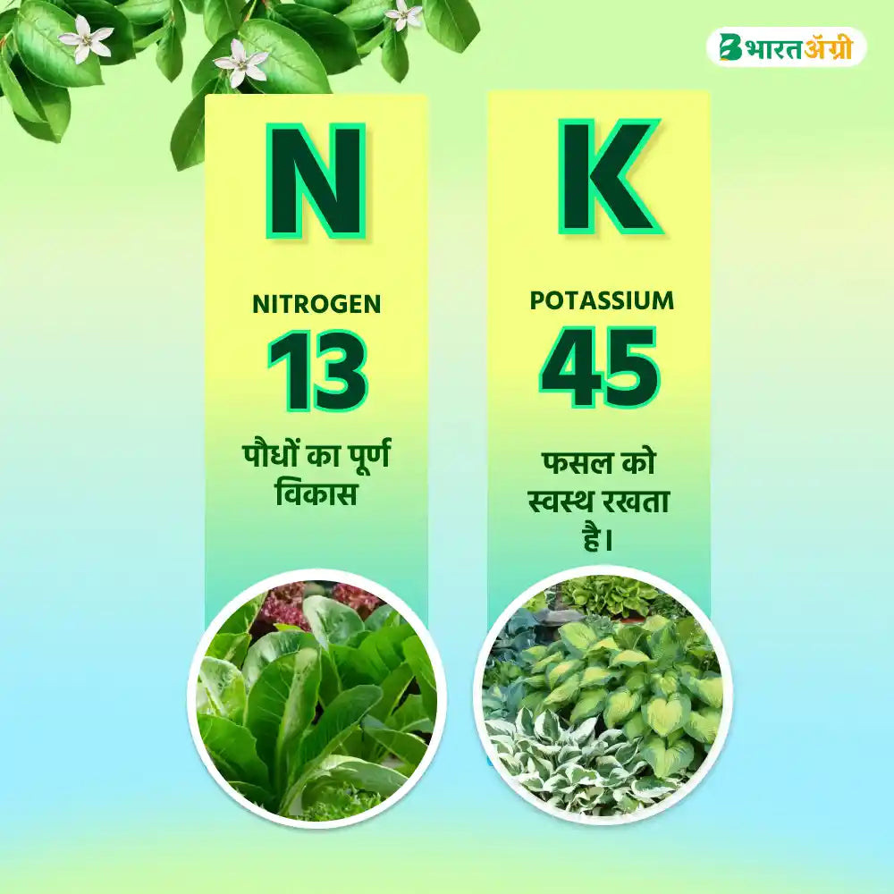 IFC NPK 13:00:45 Water Soluble Fertilizer (1+1 Combo)