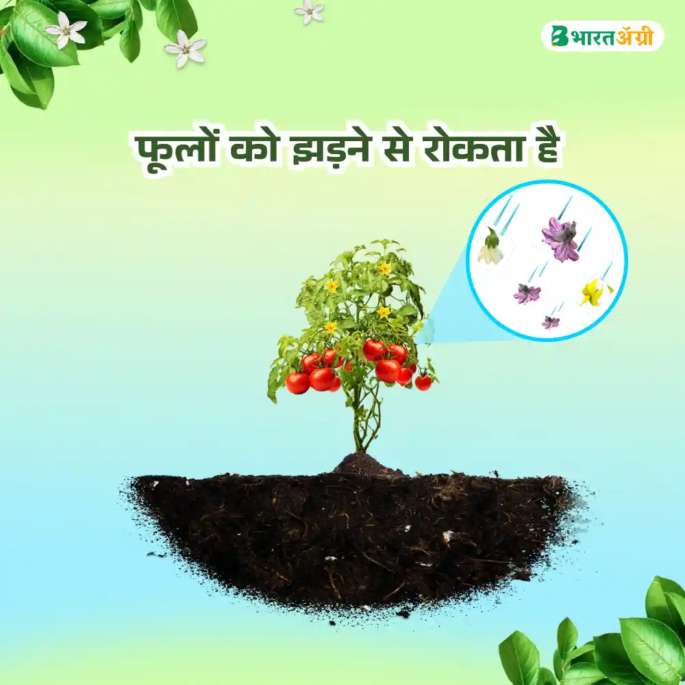 IFC NPK 13:00:45 Water Soluble Fertilizer (1+1 Combo)