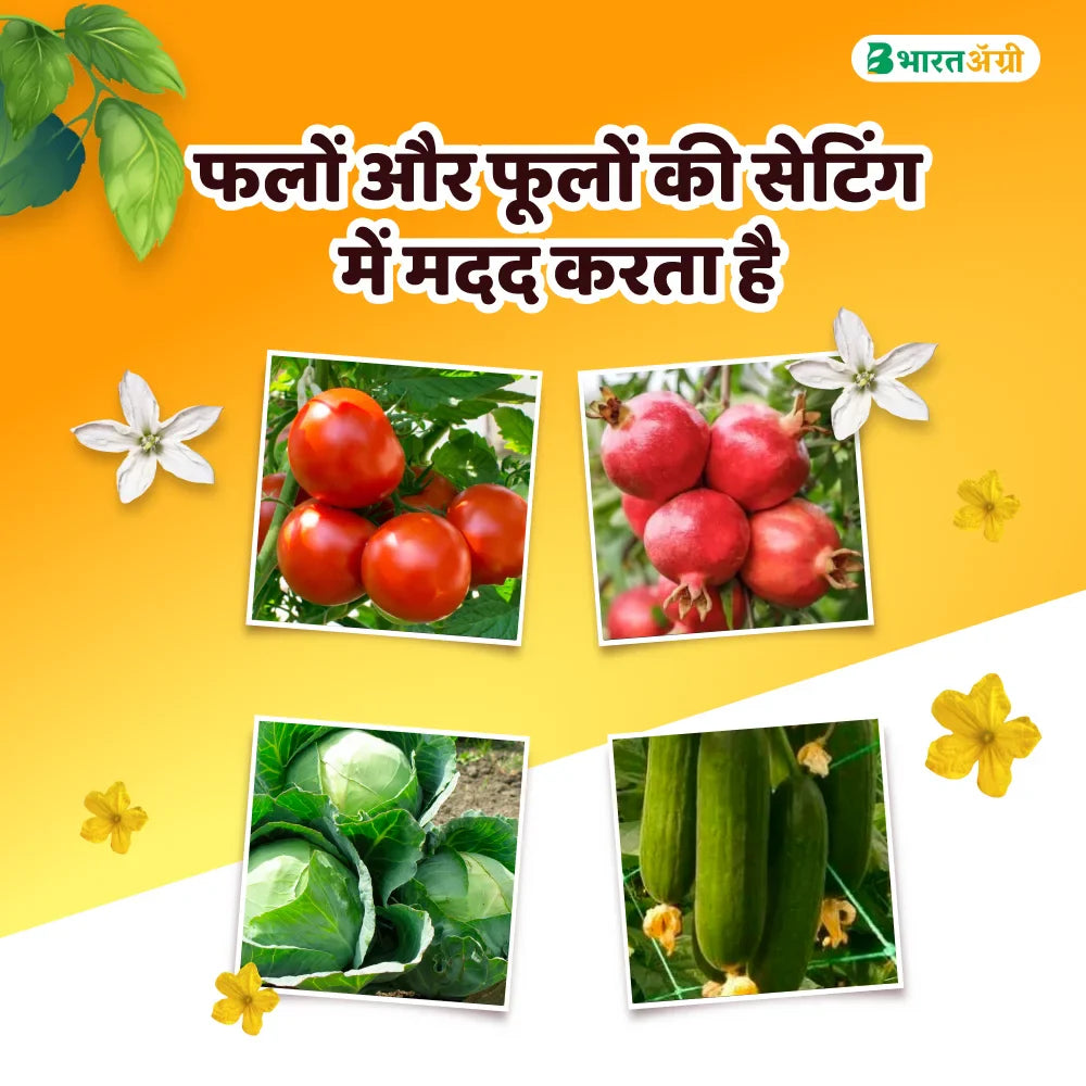 IFC NPK 13:40:13 Water Soluble Fertilizer