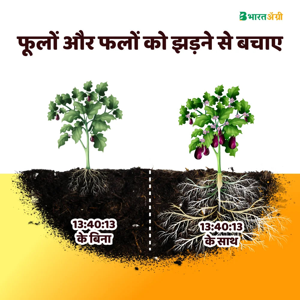 IFC NPK 13:40:13 Water Soluble Fertilizer