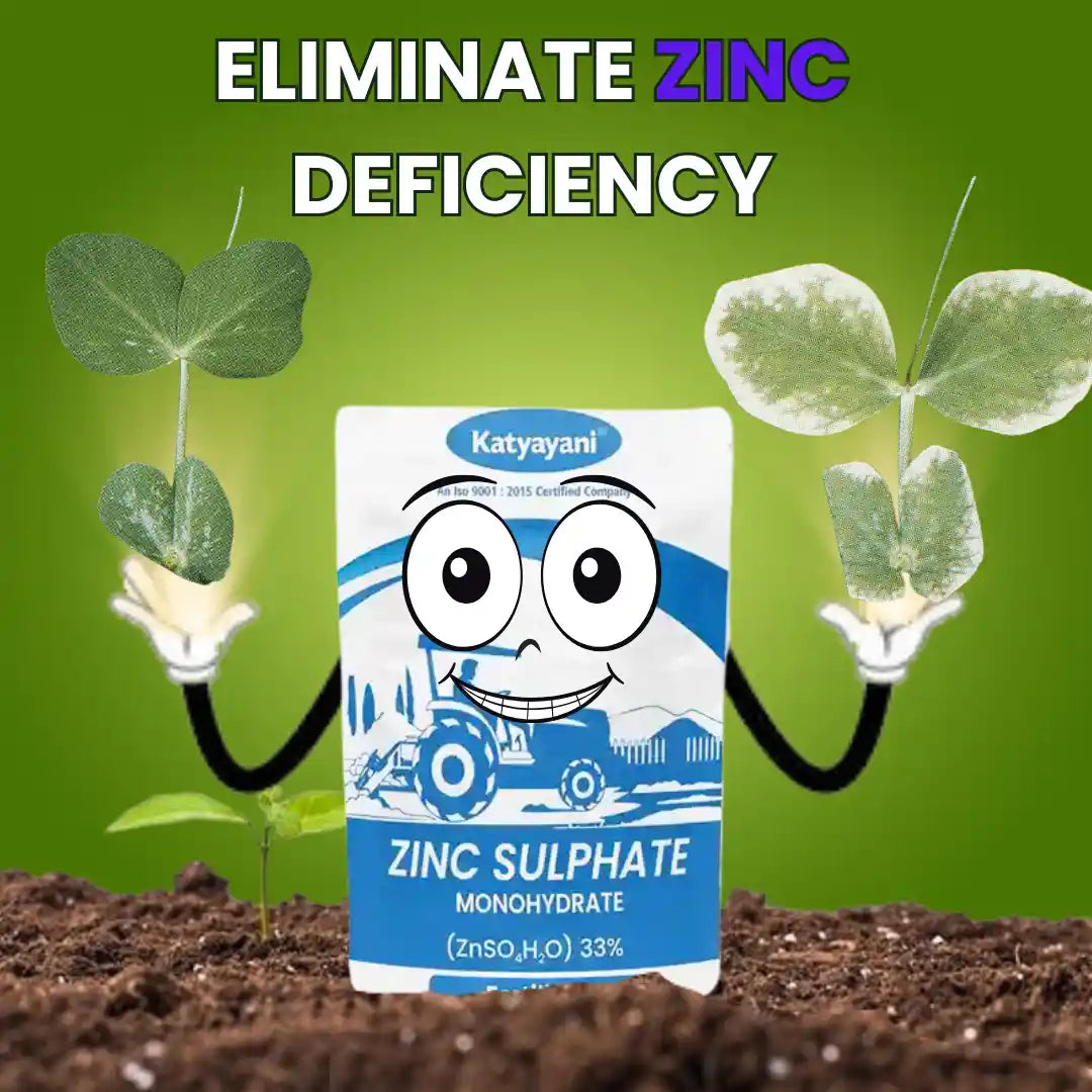 Katyayani Zinc Sulphate 33% Fertilizer