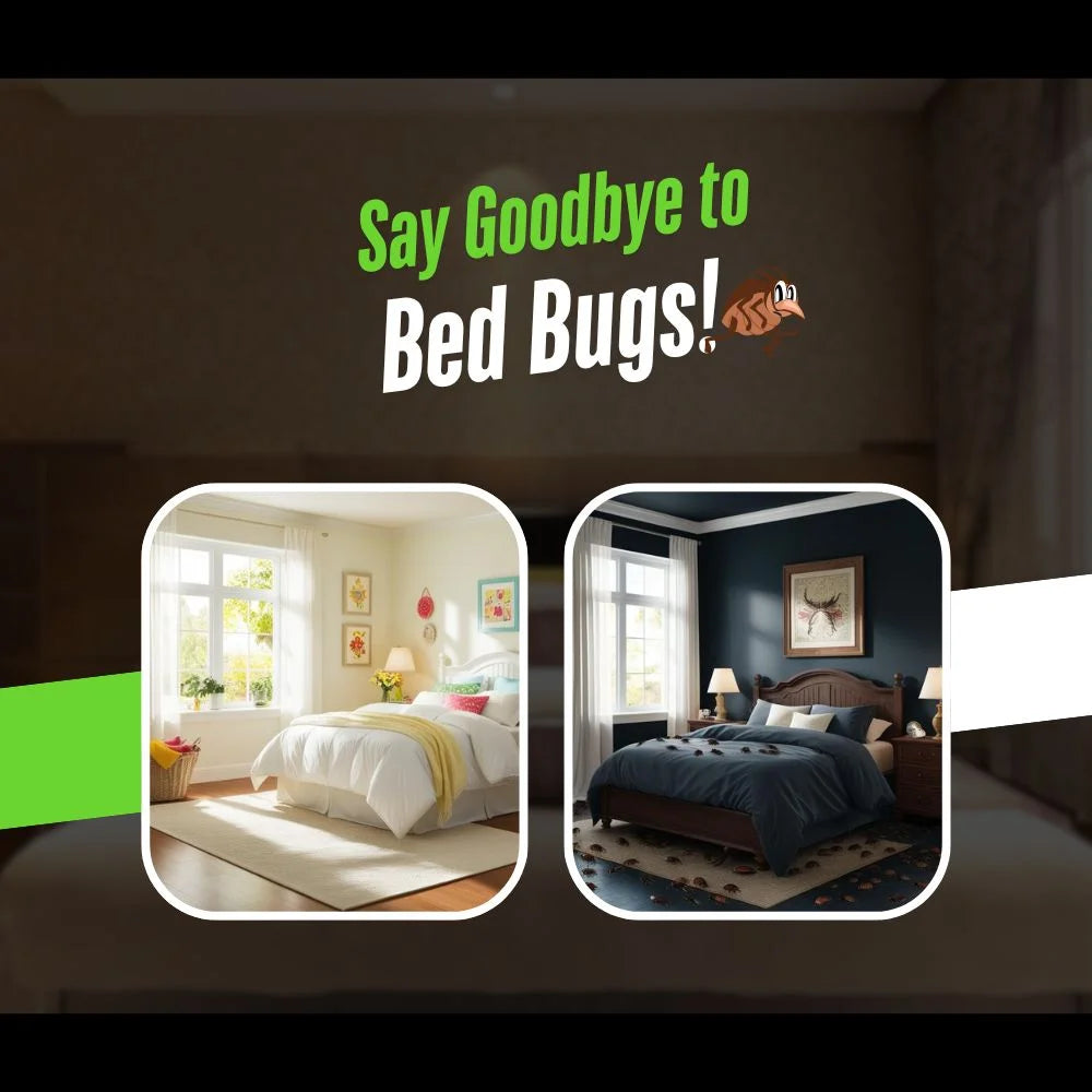 Amish Herbal Bed Bug Repellent Powder