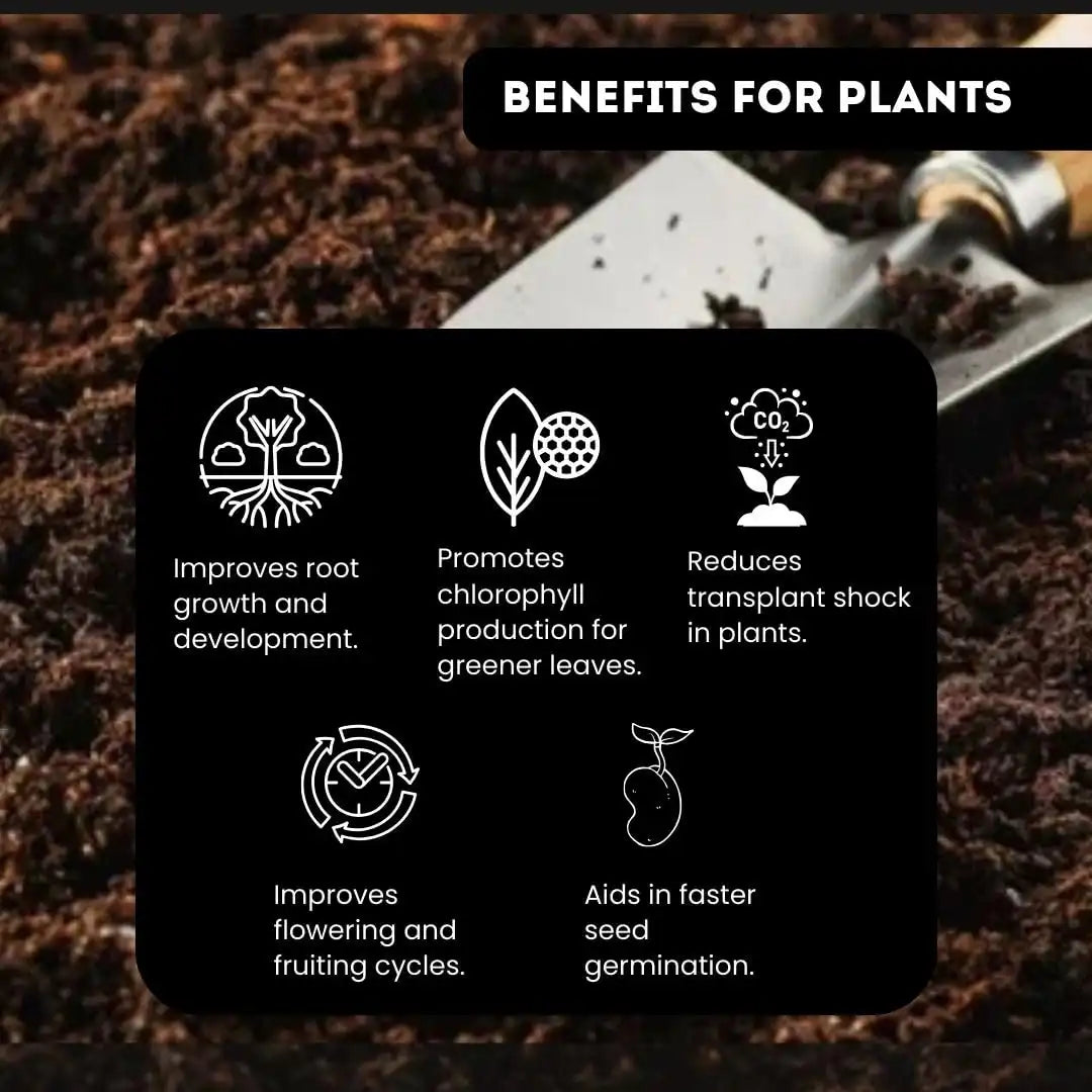 Chipku Seaweed extract liquid