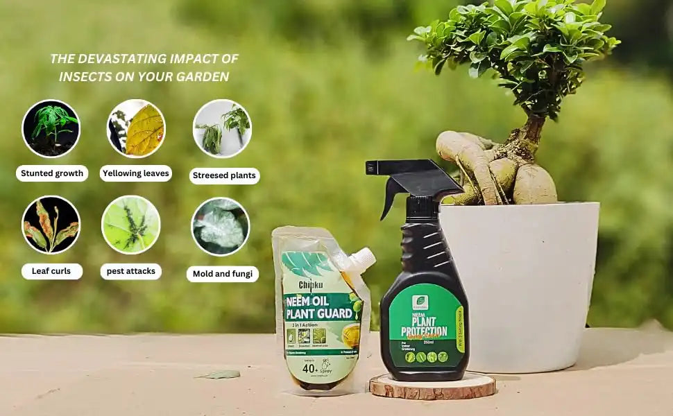 Chipku Pure Cold Pressed Water Soluble Neem Oil 200ml With Empty Spray Bottle