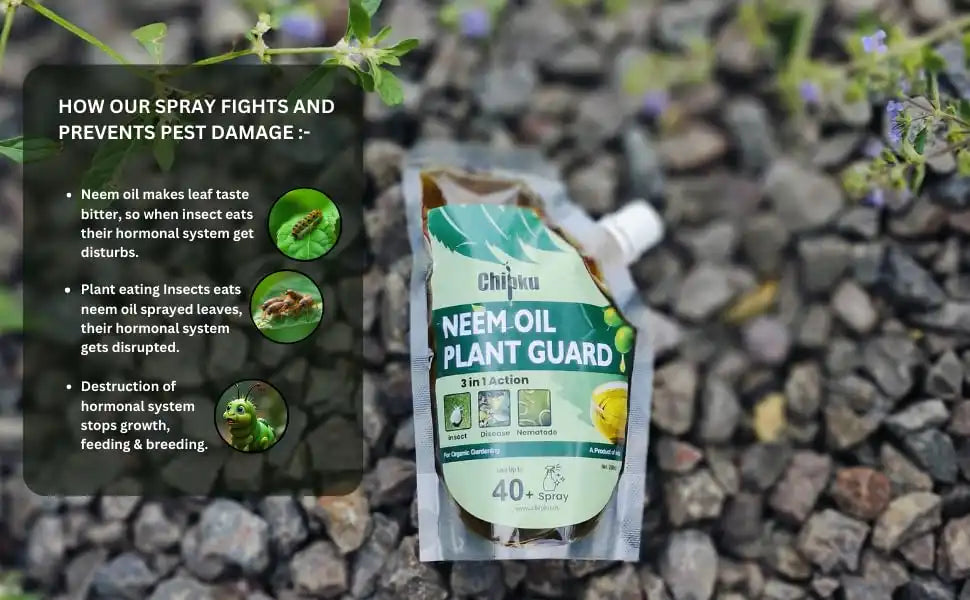 Chipku Pure Cold Pressed Water Soluble Neem Oil 200ml With Empty Spray Bottle