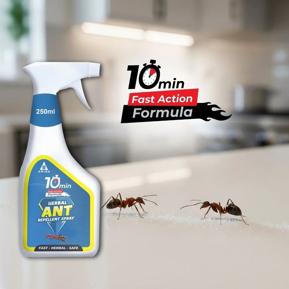 Amish Herbal Ant Repellent Spray - 250 ml