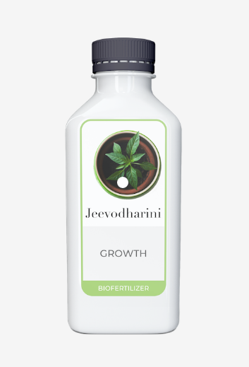 Torus Jeevodharini Growth