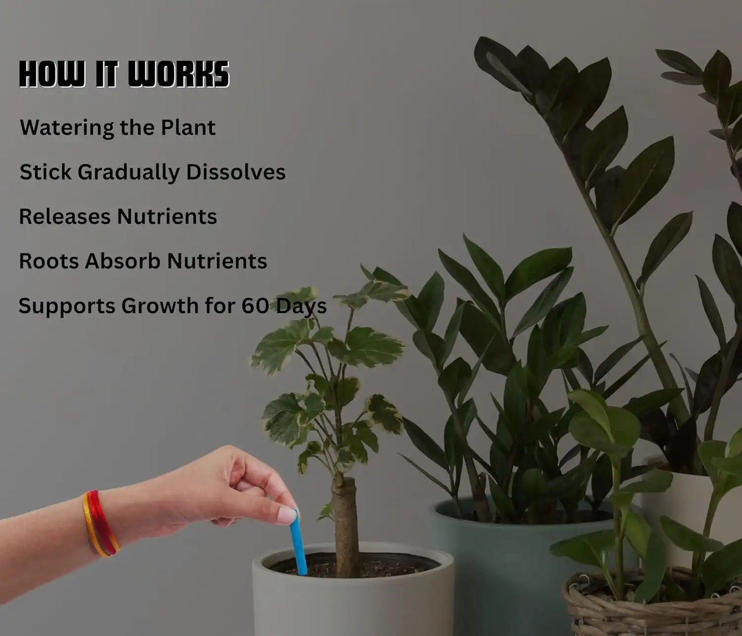 Chipku Green Sticks Fertilizer Sticks