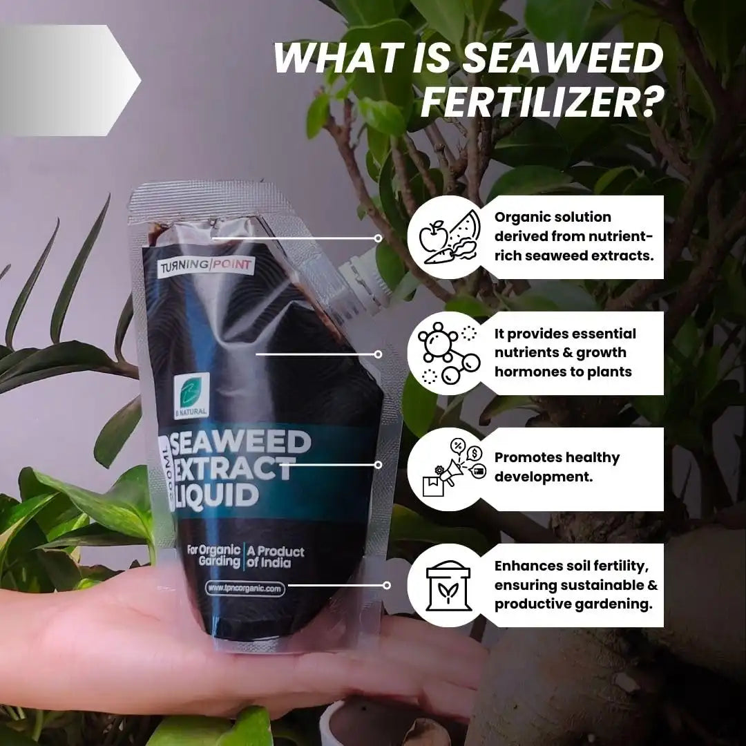 Chipku Seaweed extract liquid