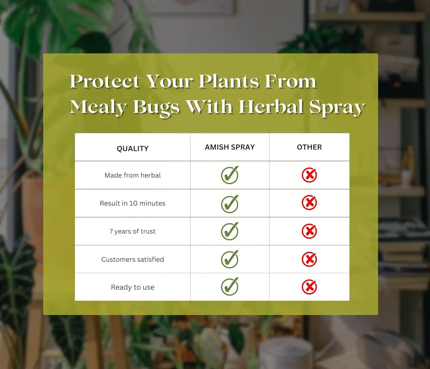 Chipku Herbal Mealy Bug Spray For Plants & Garden-200 ml
