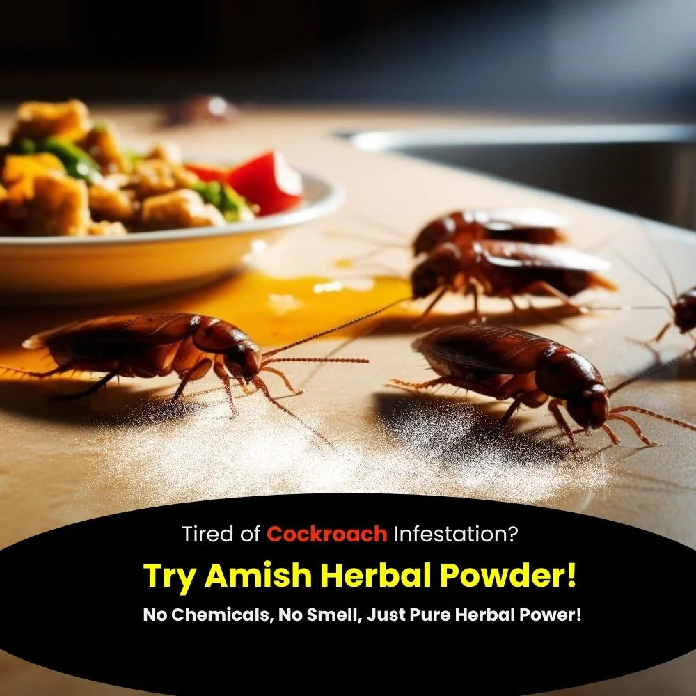 Amish C Herbal Cockroach Powder