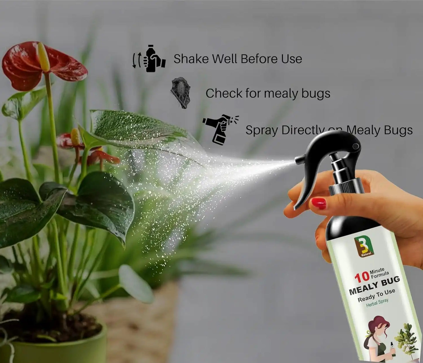 Chipku Herbal Mealy Bug Spray For Plants & Garden-200 ml