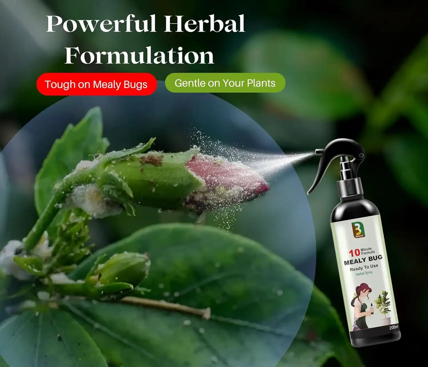 Chipku Herbal Mealy Bug Spray For Plants & Garden-200 ml