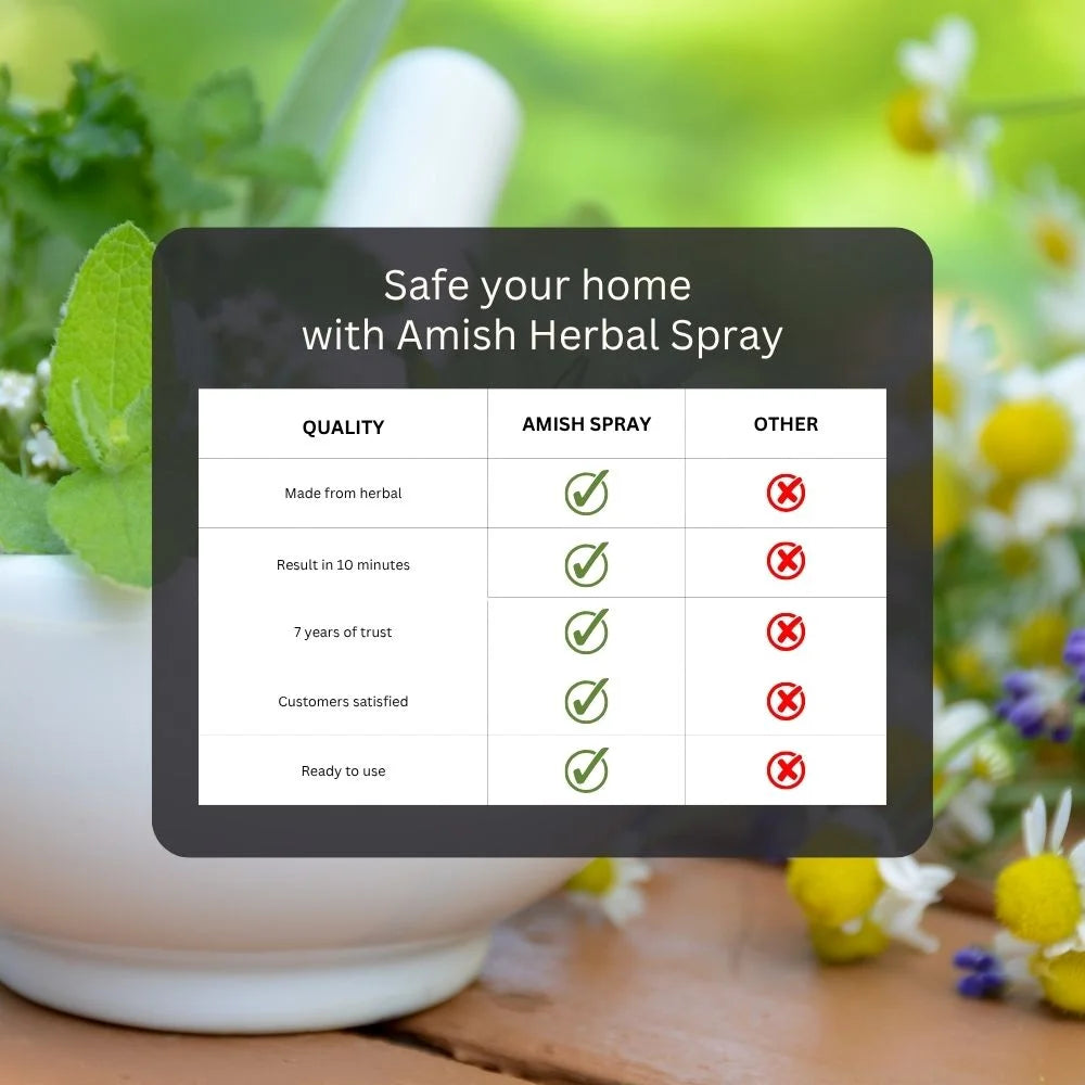 Amish Herbal All In One Spray - 100 ml