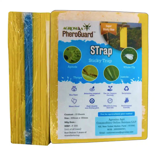 Agrosiaa Pheroguard Yellow (20) & Blue (05) Sticky Trap (6 x 8 cm)