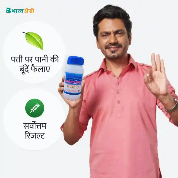Anand Wet Gold - Silicon Super Spreader
