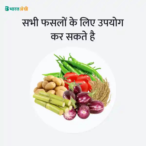 Anand Wet Gold - Silicon Super Spreader