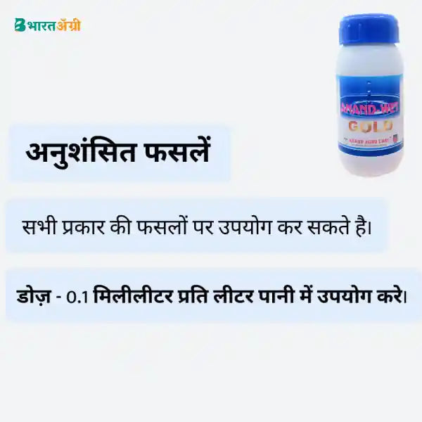 Anand Wet Gold - Silicon Super Spreader