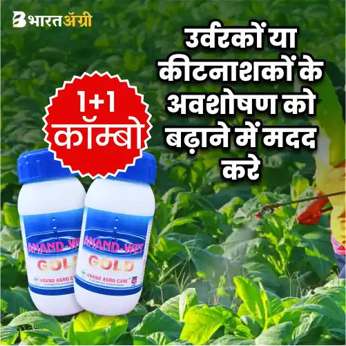 Anand Wet Gold | Silicon Super Spreader -100ml [Buy1 Get 1]