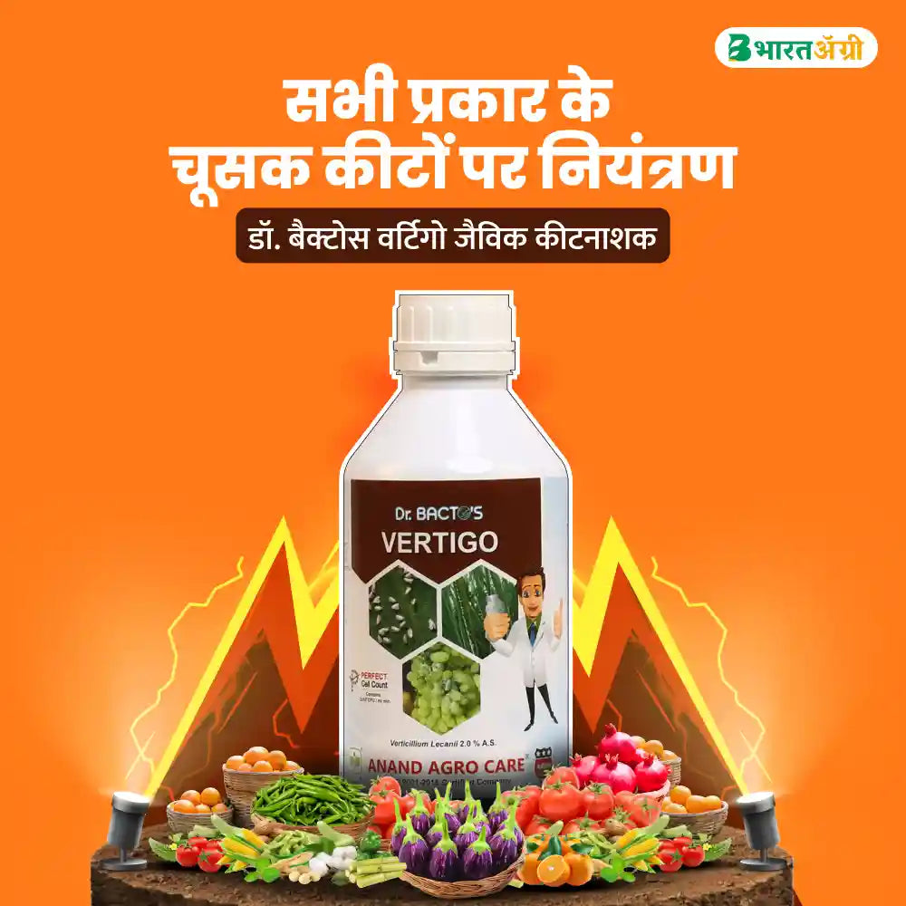 Dr. Bacto's Vertigo (Verticillium Lecanii) Bio Insecticide