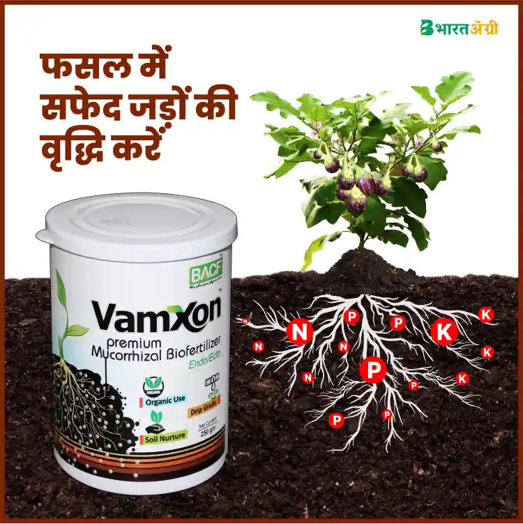 BACF VamXon Vesicular Arbuscular Mycorrhiza Fertilizer