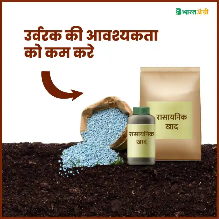 BACF VamXon Vesicular Arbuscular Mycorrhiza Fertilizer