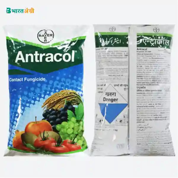 Bayer Antracol (500 gm) +  IFC Super Sticker (40 ml)