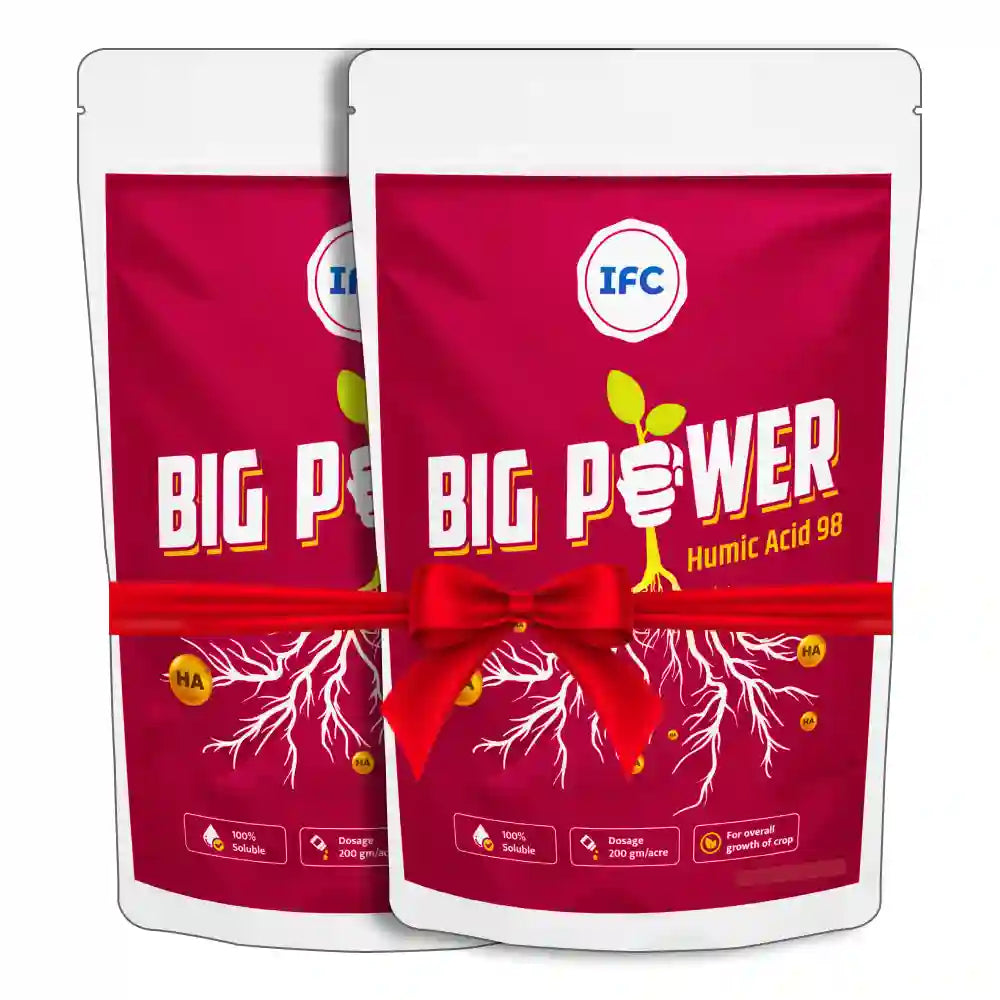 IFC Big Power (Humic Acid 50%) Water Soluble (1+1 Combo)