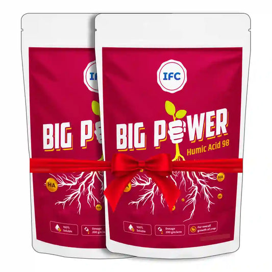 IFC Big Power (Humic Acid 50%) Water Soluble (1+1 Combo)