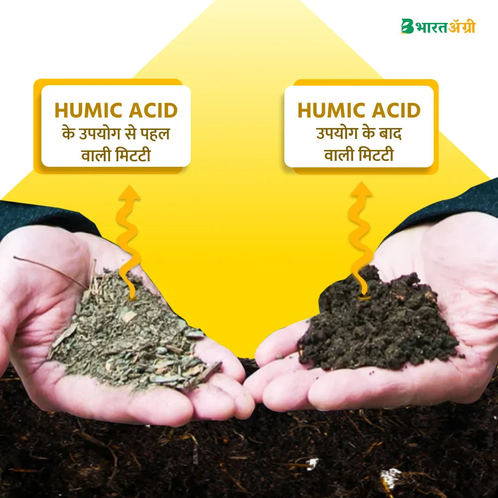 IFC Big Power (Humic Acid 50%) Water Soluble (1+1 Combo)