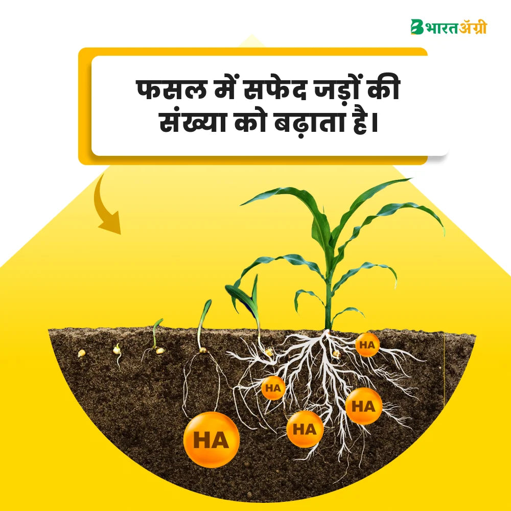 IFC Big Power (Humic Acid 50%) Water Soluble