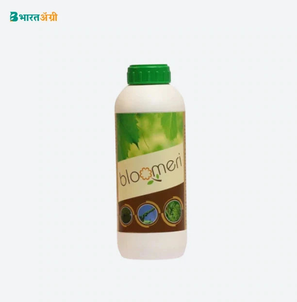 Anand Agro Bloom Merry