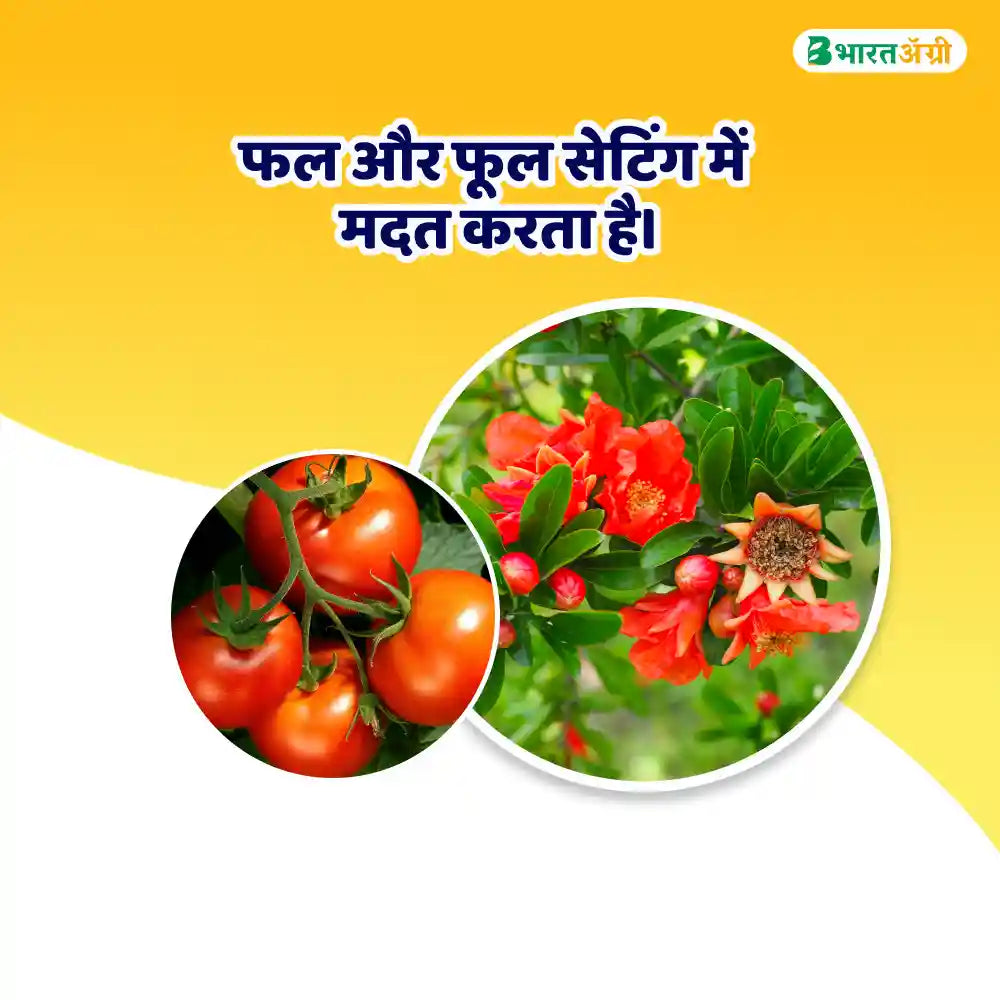 IFC Boron 20 Fertilizer (Boron 20%)