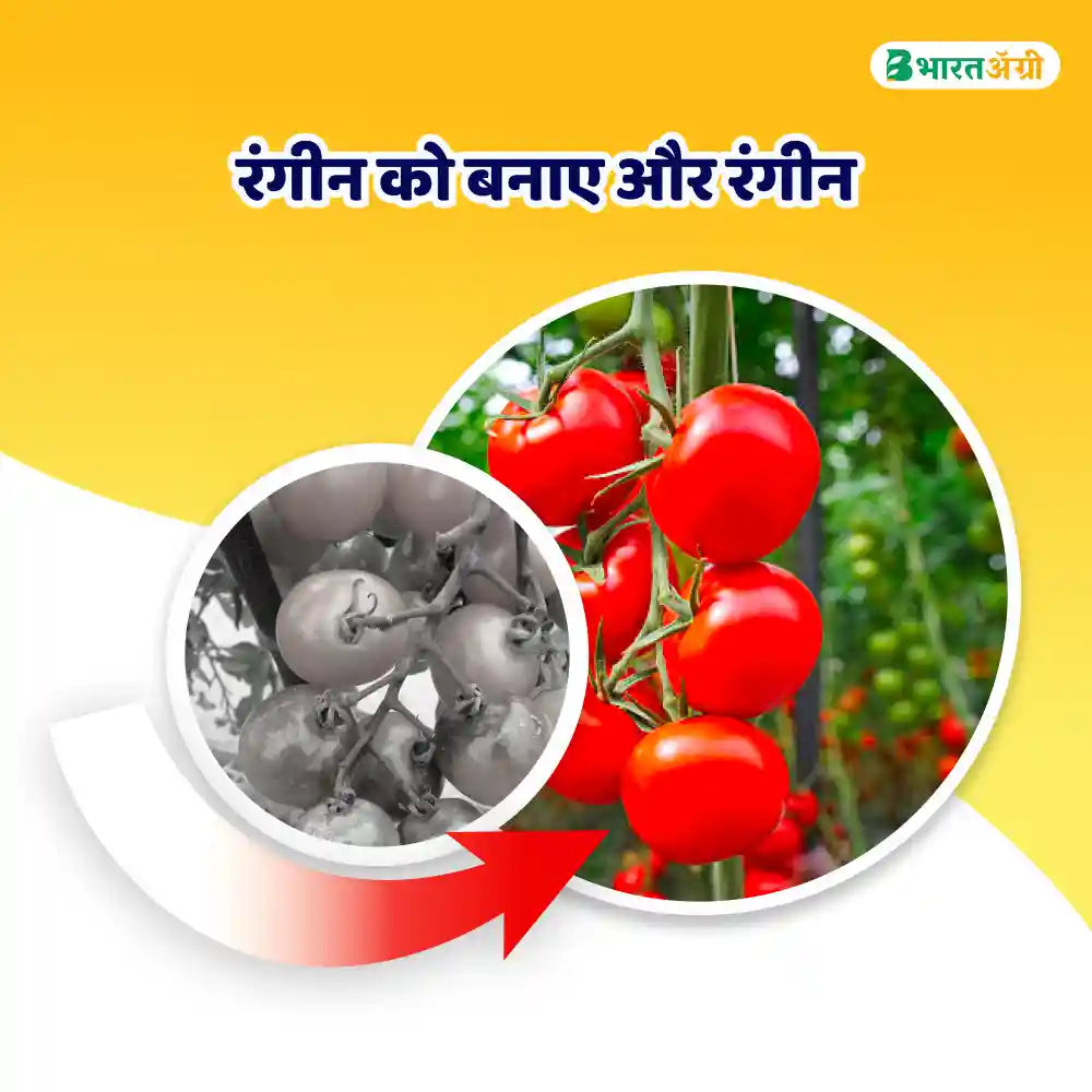 IFC Boron 20 Fertilizer (Boron 20%)