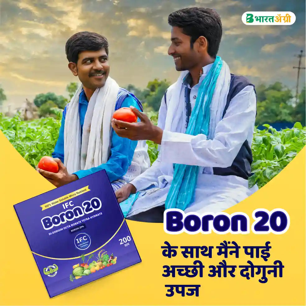 IFC Boron 20 Fertilizer (Boron 20%)