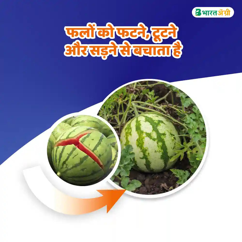 IFC Cal-Boron Water Soluble Fertilizer (1+1 Combo)