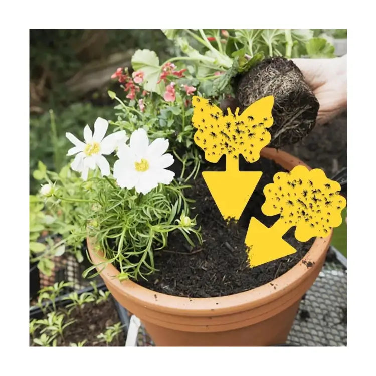 Chipku Mini Yellow Sticky Trap - Insect Catcher for Indoor & Outdoor Gardening