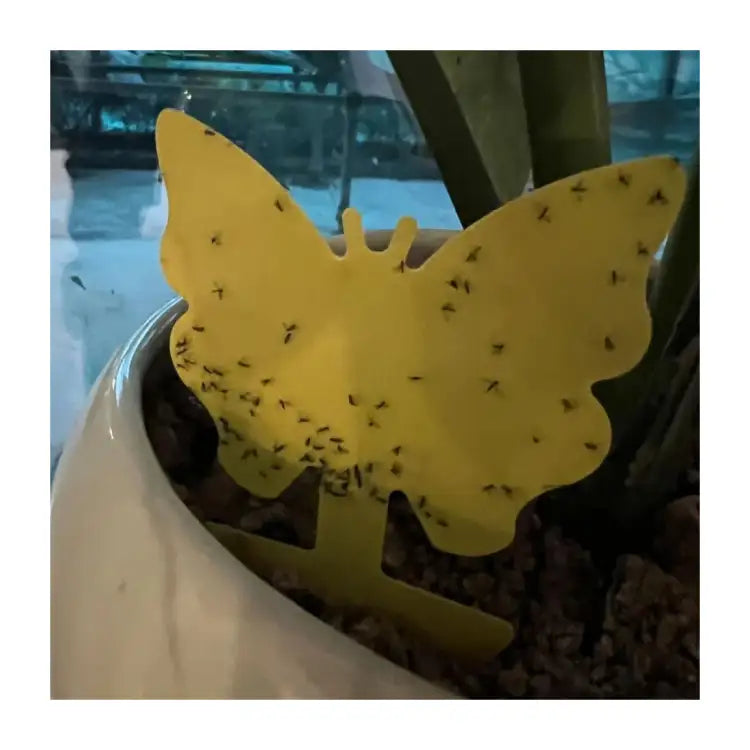 Chipku Mini Yellow Sticky Trap - Insect Catcher for Indoor & Outdoor Gardening