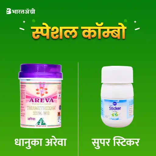Dhanuka Areva (100 gm) + IFC Super Sticker (40 ml)