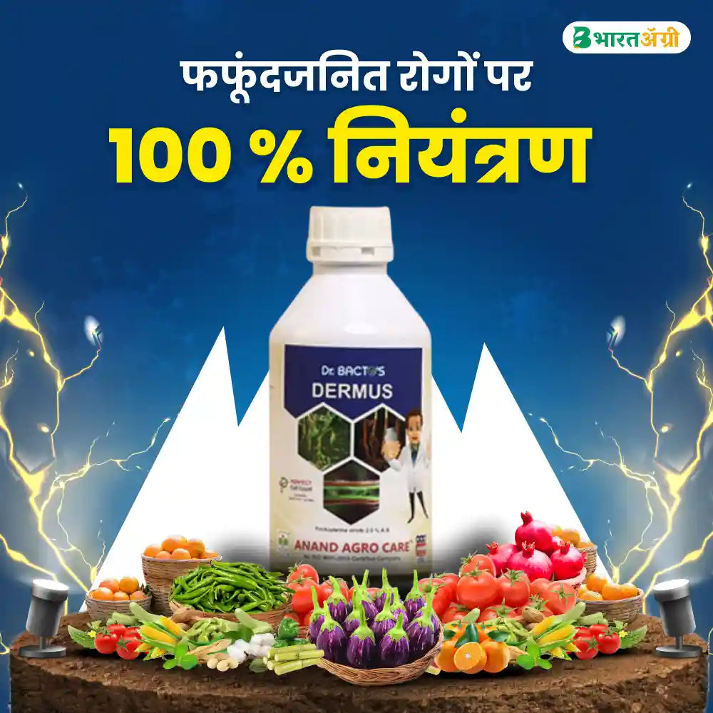 Dr. Bacto's Dermus (Trichoderma Viride) (1+1 Free)
